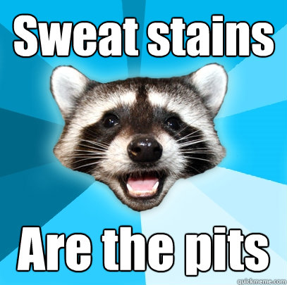 Sweat stains Are the pits  Lame Pun Coon