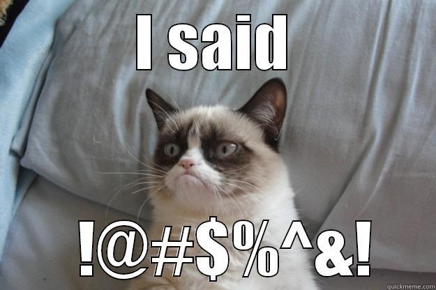 I SAID   !@#$%^&! Grumpy Cat