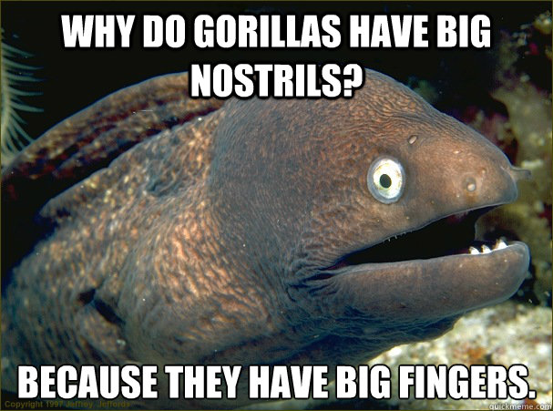 Why do gorillas have big nostrils? Because they have big fingers. Caption 3 goes here Caption 4 goes here - Why do gorillas have big nostrils? Because they have big fingers. Caption 3 goes here Caption 4 goes here  Bad Joke Eel