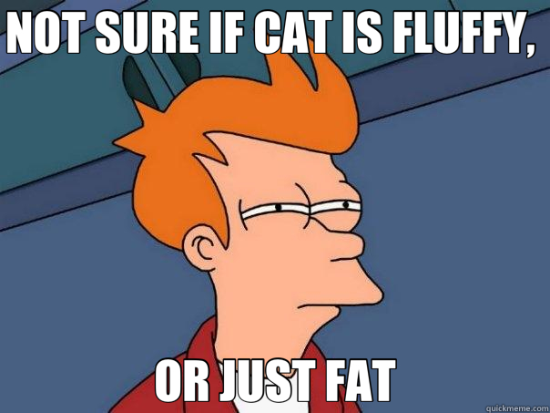 NOT SURE IF CAT IS FLUFFY,  OR JUST FAT  Futurama Fry