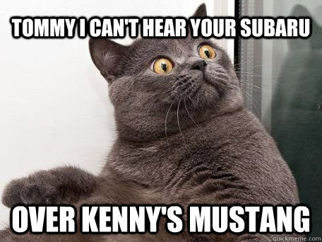 Tommy I can't hear your Subaru  over Kenny's Mustang  conspiracy cat