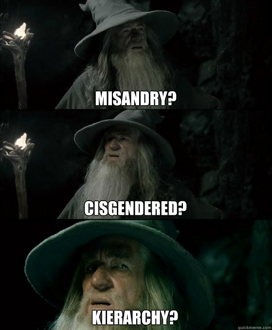 Cisgendered? Kierarchy? Misandry? - Cisgendered? Kierarchy? Misandry?  Confused Gandalf