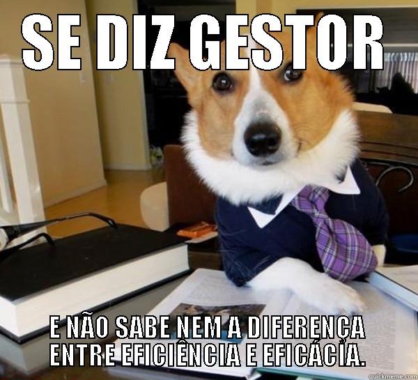 SE DIZ GESTOR E NÃO SABE NEM A DIFERENÇA ENTRE EFICIÊNCIA E EFICÁCIA. Lawyer Dog