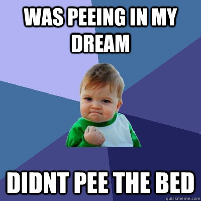 was peeing in my dream didnt pee the bed  Success Kid