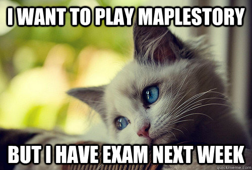 I want to play MAPLESTORY but i have exam next week  First World Problems Cat