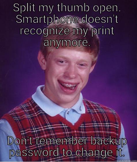 SPLIT MY THUMB OPEN. SMARTPHONE DOESN'T RECOGNIZE MY PRINT ANYMORE. DON'T REMEMBER BACKUP PASSWORD TO CHANGE IT. Bad Luck Brian