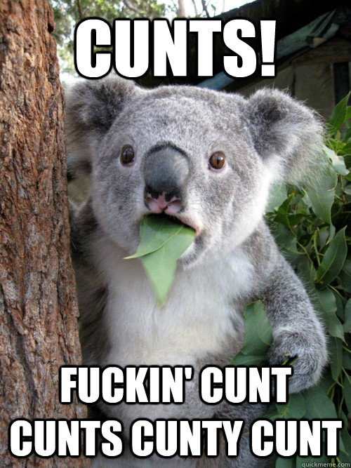 cunts! fuckin' cunt  cunts cunty cunt  Surprised Koala