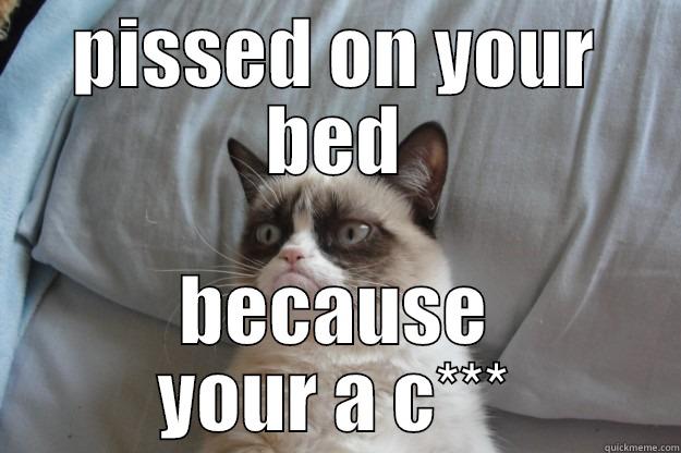 PISSED ON YOUR BED BECAUSE YOUR A C*** Grumpy Cat