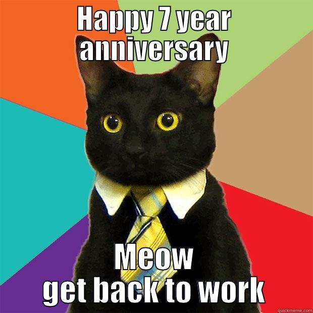 HAPPY 7 YEAR ANNIVERSARY MEOW GET BACK TO WORK Business Cat