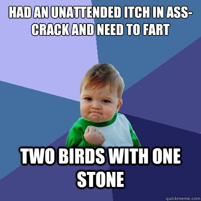 HAD AN UNATTENDED ITCH IN ASS-CRACK AND NEED TO FART Two birds with one stone  Success Kid