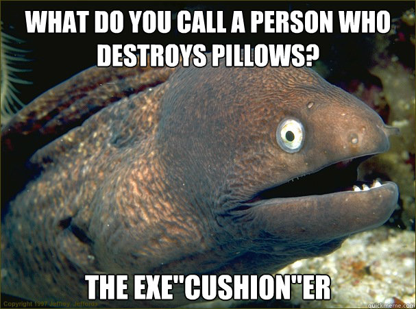 What do you call a person who destroys pillows? The EXe