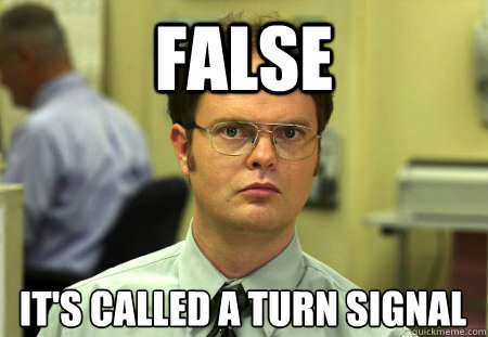 False It's called a turn signal - False It's called a turn signal  Dwight