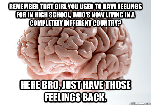 remember that girl you used to have feelings for in high school, who's now living in a completely different country? Here bro, just have those feelings back.  Scumbag Brain