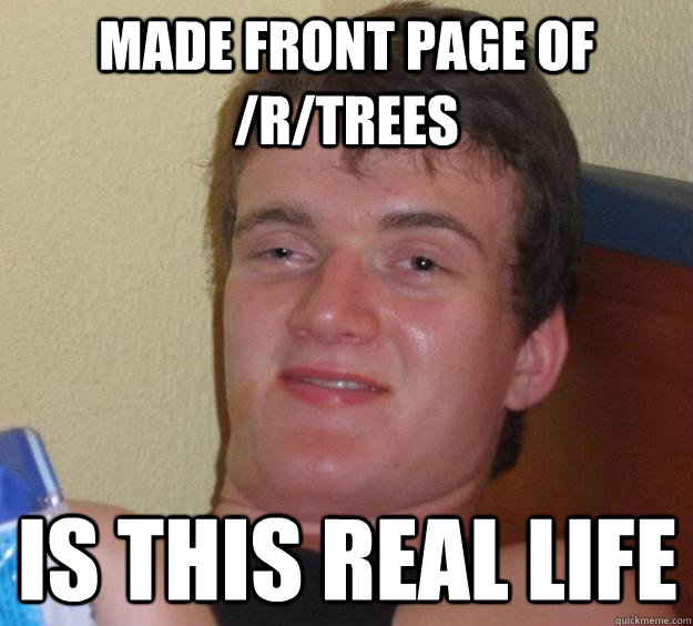 Made front page of /r/trees is this real life  10 Guy