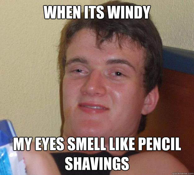 when its windy my eyes smell like pencil shavings  10 Guy