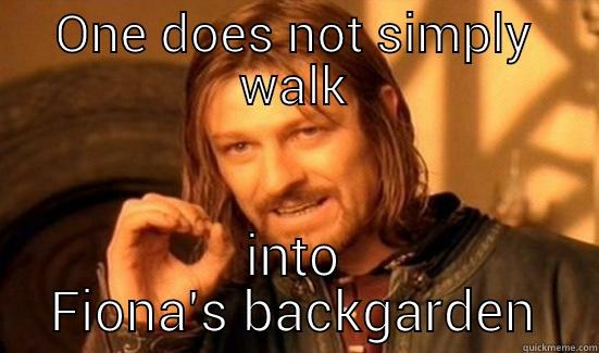 ONE DOES NOT SIMPLY WALK INTO FIONA'S BACKGARDEN Boromir