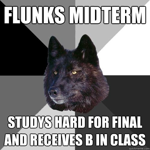 Flunks midterm Studys hard for final and receives B in class  Sanity Wolf