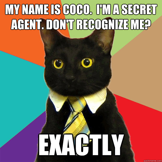 My name is Coco.  I'm a secret agent. Don't recognize me? Exactly   Business Cat