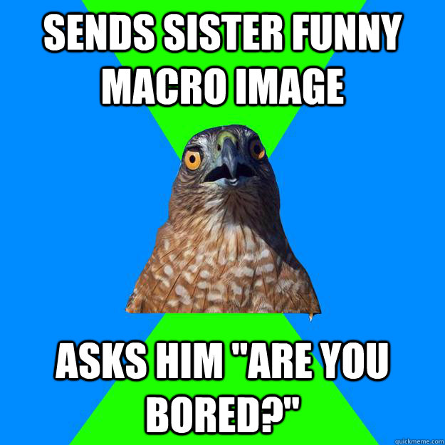 sends sister funny macro image asks him 