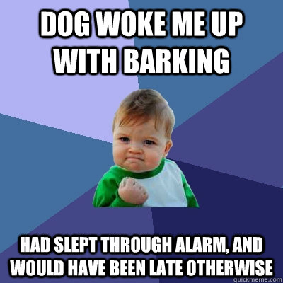 dog woke me up with barking had slept through alarm, and would have been late otherwise  Success Kid