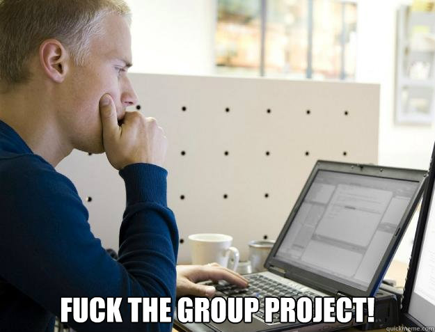  FUCK THE GROUP PROJECT!  Programmer