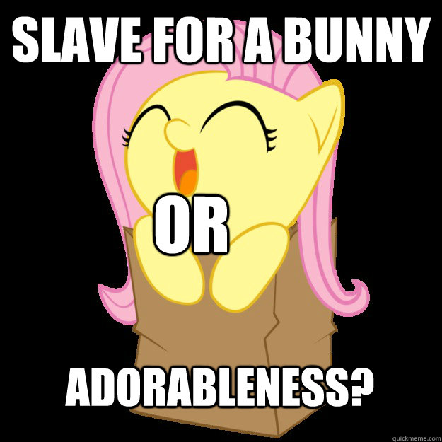 Slave for a bunny or Adorableness?  Fluttershy