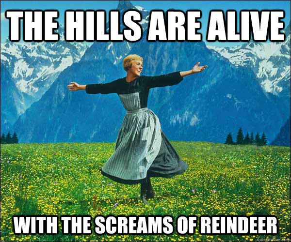 The hills are alive with the screams of reindeer - The hills are alive with the screams of reindeer  Sound of Music