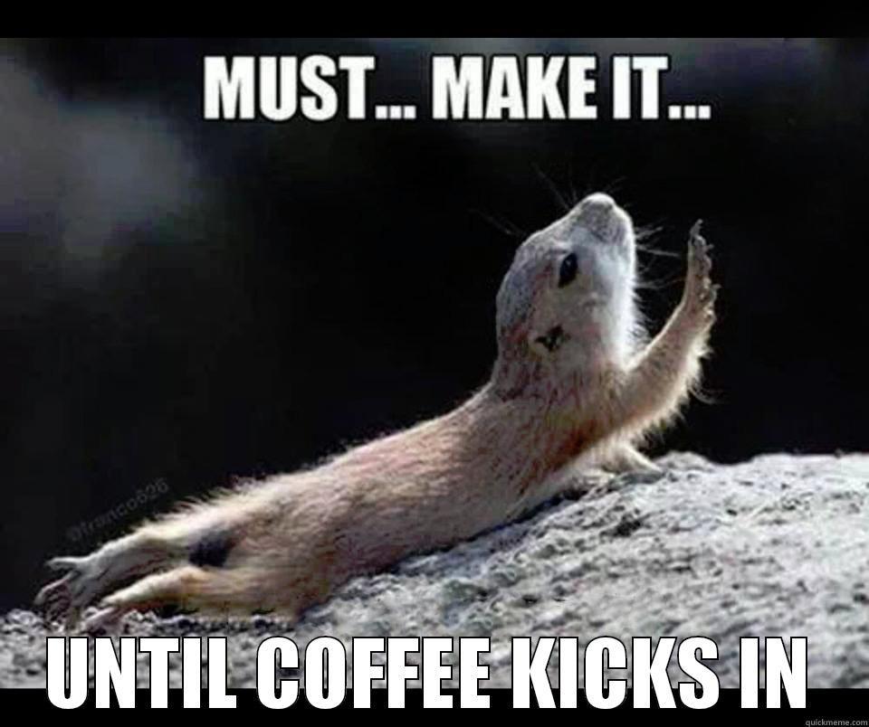 Desperate Prairie Dog -  UNTIL COFFEE KICKS IN Misc