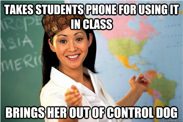 Takes students phone for using it in class Brings her out of control dog  Scumbag Teacher