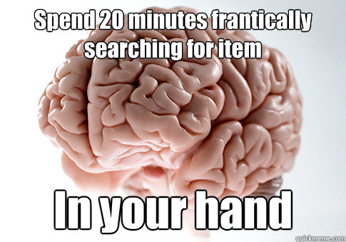 Spend 20 minutes frantically searching for item In your hand   Scumbag Brain