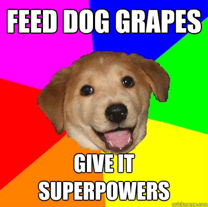 Feed dog grapes Give it superpowers  Advice Dog