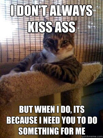 I don't always kiss ass but when I do, its because i need you to do something for me  The Most Interesting Cat in the World