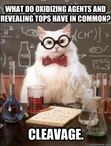 What do oxidizing agents and revealing tops have in common? Cleavage. - What do oxidizing agents and revealing tops have in common? Cleavage.  Chemistry Cat