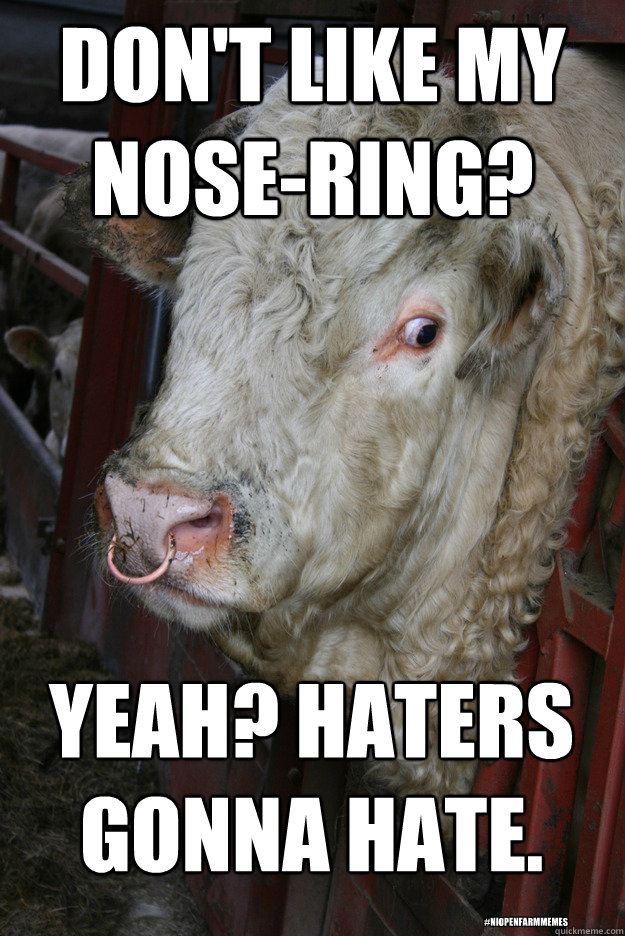 don't like my nose-ring? Yeah? Haters gonna hate.
 #niOpenFarmMemes - don't like my nose-ring? Yeah? Haters gonna hate.
 #niOpenFarmMemes  niOpenFarmMemes