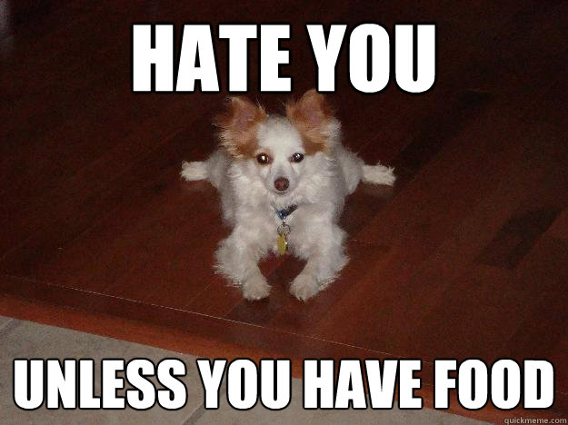 HAte you unless you have food  