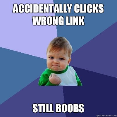 Accidentally clicks wrong link Still boobs  Success Kid