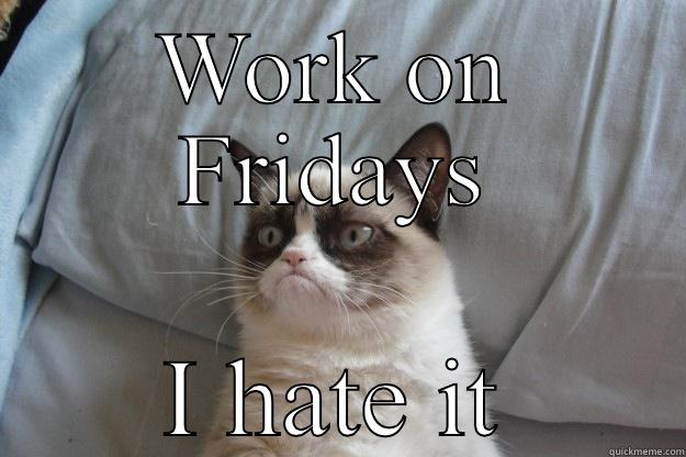 WORK ON FRIDAYS I HATE IT Grumpy Cat