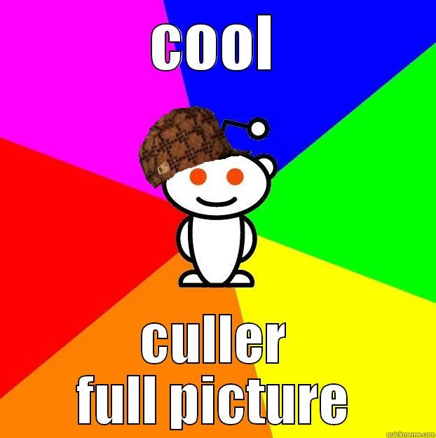 COOL CULLER FULL PICTURE Scumbag Redditor