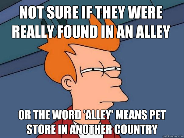 Not sure if they were really found in an alley or the word 'Alley' means pet store in another country  Futurama Fry