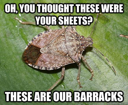 Oh, you thought these were your sheets? these are our barracks  