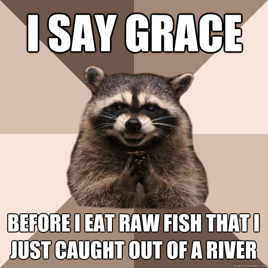 I say grace before i eat raw fish that i just caught out of a river   Evil Plotting Raccoon