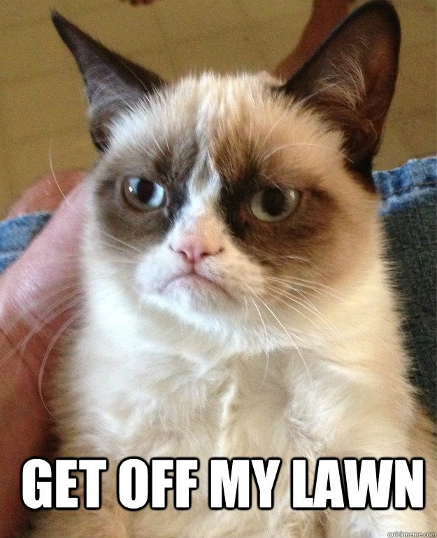  GET OFF MY LAWN  Grumpy Cat