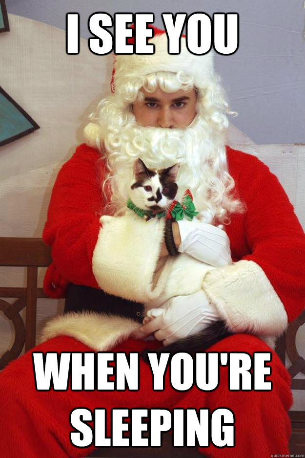 I see you when you're sleeping  Angry Cat-holding Santa