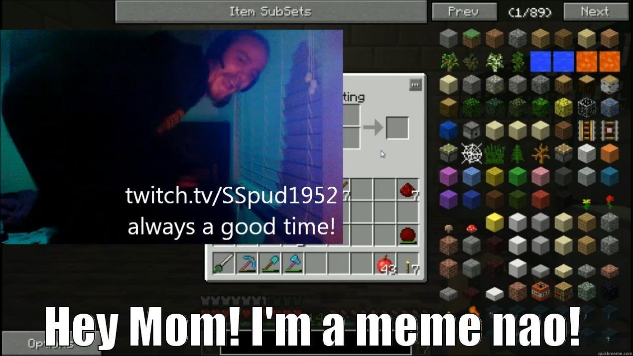 hey mom! -  HEY MOM! I'M A MEME NAO! Misc