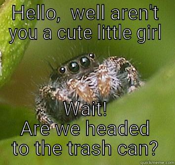 HELLO,  WELL AREN'T YOU A CUTE LITTLE GIRL WAIT! ARE WE HEADED TO THE TRASH CAN? Misunderstood Spider