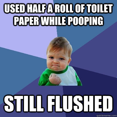 Used half a roll of toilet paper while pooping still flushed - Used half a roll of toilet paper while pooping still flushed  Success Kid