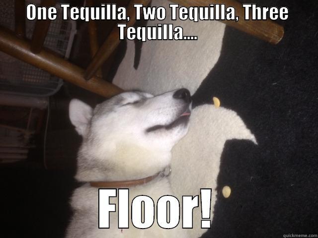 ONE TEQUILLA, TWO TEQUILLA, THREE TEQUILLA.... FLOOR! Misc