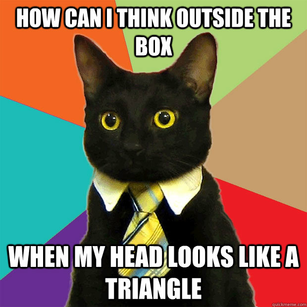 How can I think outside the box When my head looks like a triangle  Business Cat