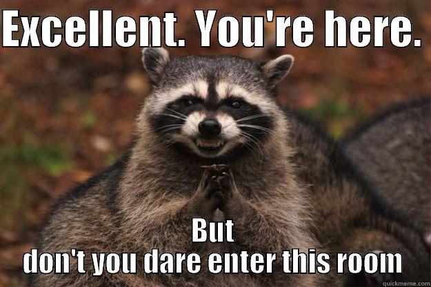 excellent do not enter - EXCELLENT. YOU'RE HERE.  BUT DON'T YOU DARE ENTER THIS ROOM Evil Plotting Raccoon