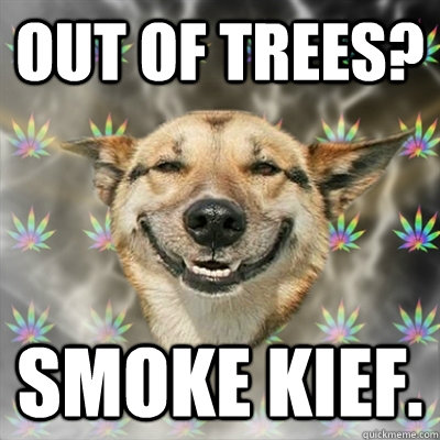 Out of trees? Smoke kief.  Stoner Dog